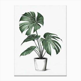 Monstera Obliqua Plant Living Room Art Print (4) Canvas Print