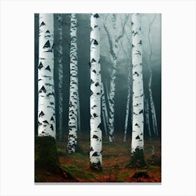 Birch Trees In The Fog 1 Canvas Print