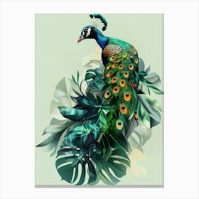 Peacock 31 Canvas Print