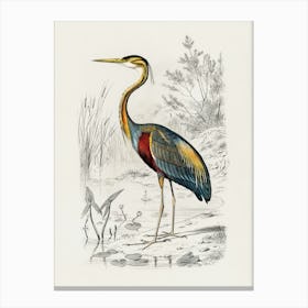 Heron I Canvas Print Canvas Print