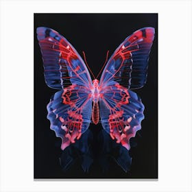 Butterfly 12 Canvas Print