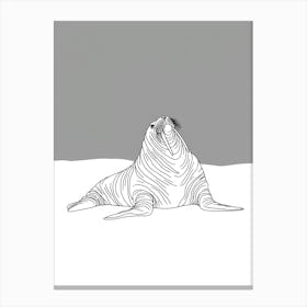 Walrus Canvas Print