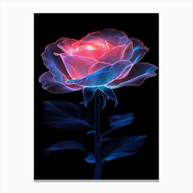 Luminous Rose Canvas Print