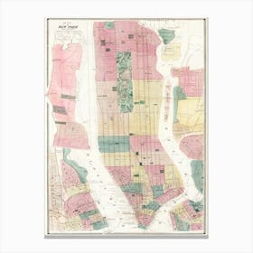 Map Of New York And Vicinity (1869) Canvas Print