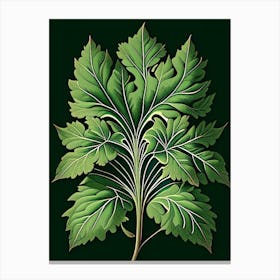 Lovage Leaf Vintage Botanical 1 Canvas Print