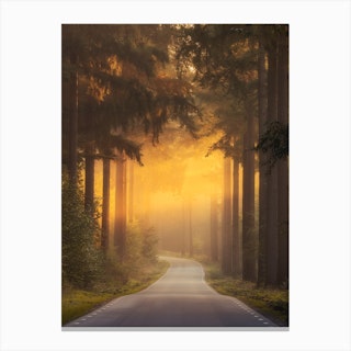 Pursuing The Light At The End Of The Road Canvas Print