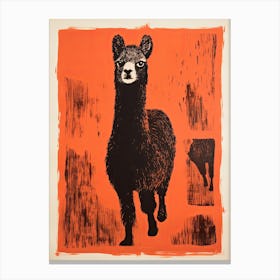 Alpaca, Woodblock Animal Drawing 2 Canvas Print