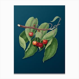 Vintage Cherry Botanical Art on Teal Blue 1 Canvas Print