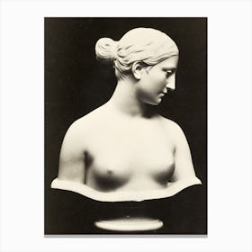Bust Of A Woman 1 Canvas Print