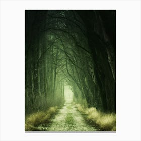 Dark Forest Path Canvas Print