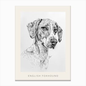 English Foxhound Dog Line Sketch 4 Poster Canvas Print