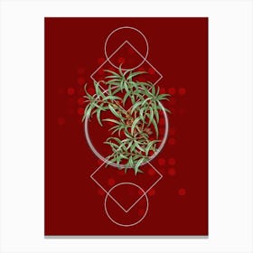 Vintage Common Sea Buckthorn Botanical with Geometric Line Motif and Dot Pattern n.0320 Canvas Print