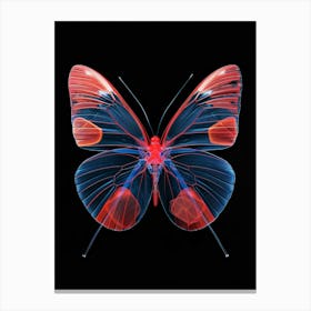 X-Ray Butterfly Canvas Print