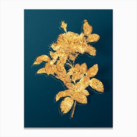 Vintage Red Gallic Rose Botanical in Gold on Teal Blue n.0047 Canvas Print