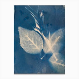 'Blue Leaves' Canvas Print