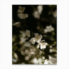 White Cherry Blossoms Oil Painting Canvas Print