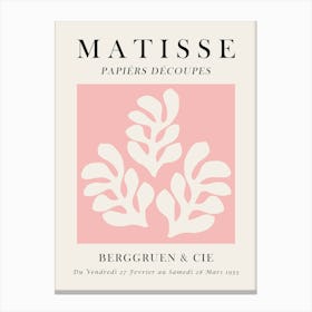 Matisse organic floral 4 Canvas Print