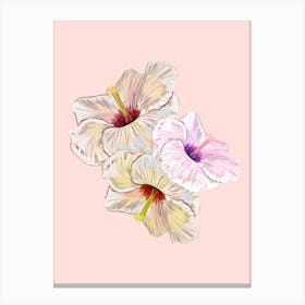 Lovely Hibiscus Canvas Print