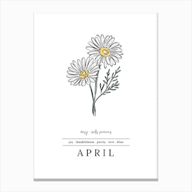 April Daisy Birth Flower 2 Canvas Print