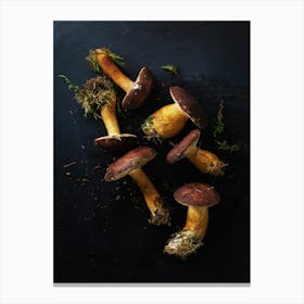 Wild mushrooms — Food kitchen poster/blackboard, photo art Canvas Print