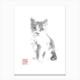 Little Cat Canvas Print