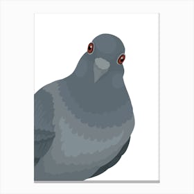 Pigeon Canvas Print