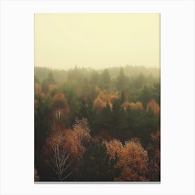 Foggy Autumn Forest 1 Canvas Print