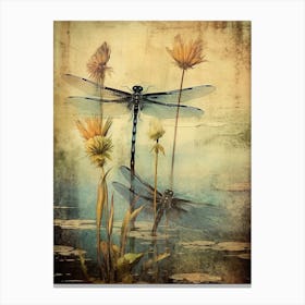 Dragonfly Wetlands 2 Canvas Print