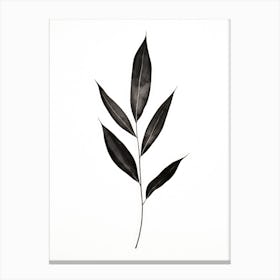 Black Leaf Canvas Print