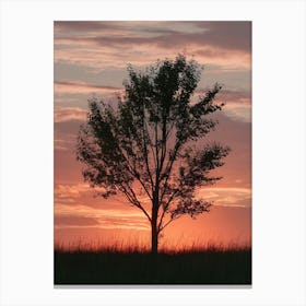 Lone Tree At Sunset 5 Canvas Print