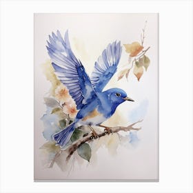 Bluebird Canvas Print