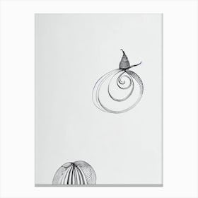 Sea Snail Black & White Drawing Canvas Print