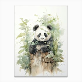 Panda Art Drawing Watercolour 3 Canvas Print