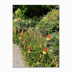 Wild British Garden Canvas Print