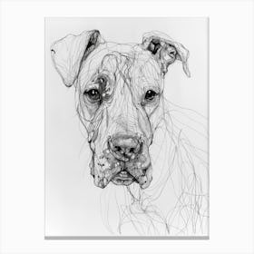 Dogo Argentino Dog Line Sketch 3 Canvas Print