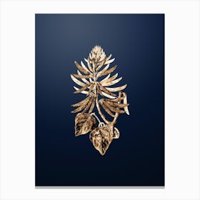 Gold Botanical Naked Flowering Erythrina on Midnight Navy Canvas Print