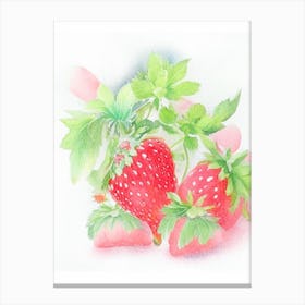 June Bearing Strawberries, Plant, Pastel Watercolour Canvas Print