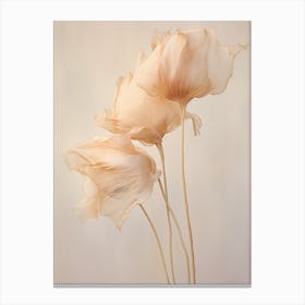 Boho Dried Flowers Tulip 1 Canvas Print