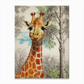 Giraffe 35 Canvas Print