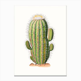 Turk S Head Cactus Marker Art 1 Canvas Print