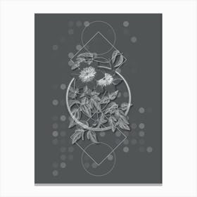 Vintage Siebald's Clematis Botanical with Line Motif and Dot Pattern in Ghost Gray n.0006 Canvas Print