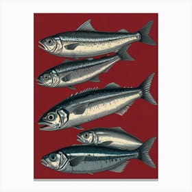 Sardines 4 Canvas Print