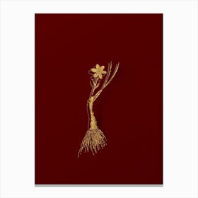 Vintage Snowdon Lily Botanical in Gold on Red n.0405 Canvas Print