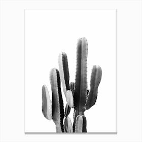 Black Cactus Canvas Print