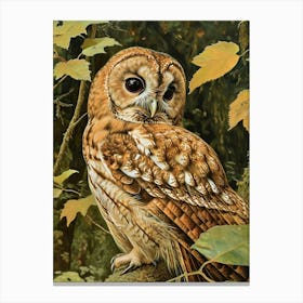 Tawny Owl Relief Illustration 2 Canvas Print