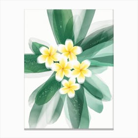 Frangipani Flower With Leaves Canvas Print