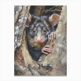 Opossum Pastel Watercolour 1 Stampe su tela