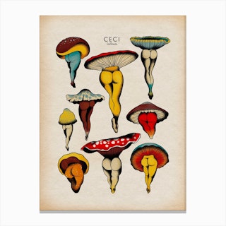 Sexy Mushroom Canvas Print