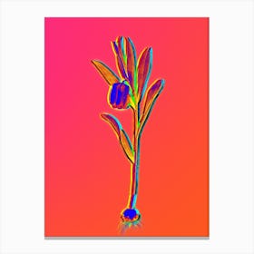 Neon Fritillaria Latifolia Botanical in Hot Pink and Electric Blue n.0012 Canvas Print