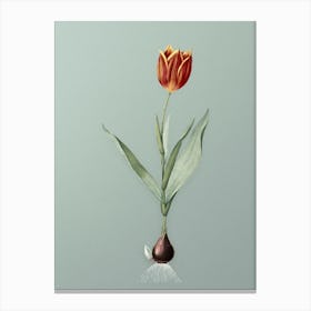 Vintage Tulip Botanical Art on Mint Green n.0030 Canvas Print